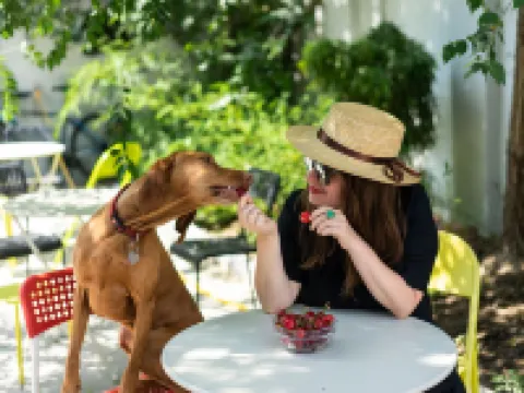 Good People Design Hostel Hotels in Belgrade