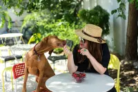 Good People Design Hostel Hotels in Belgrade