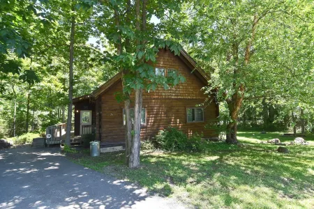 Lazy Bear Retreat - Wifi, Pet Friendly, Grill, Fire Pit, Fireplace, Deck, Golf, Hiking