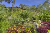 Nayara Gardens Hotels near Los Lagos Hot Springs