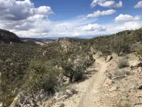 Morning Coffee with the quail.  Great views, excellent trails, and work friendly