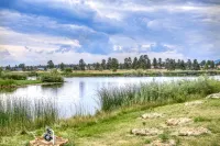 Lake Access and Rustic Elegance - Stunning Modern Haven