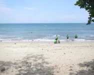 Hotel Rakata Hotel a Saketi