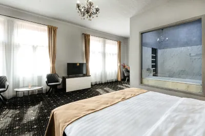 Palace Bulevard Inn Отели рядом с достопримечательностью «Ботанический сад г. Клуж-Напока»