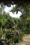 邦霍米海灘小屋飯店