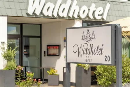 Waldhotel Eisenberg Отели в г. Орбис