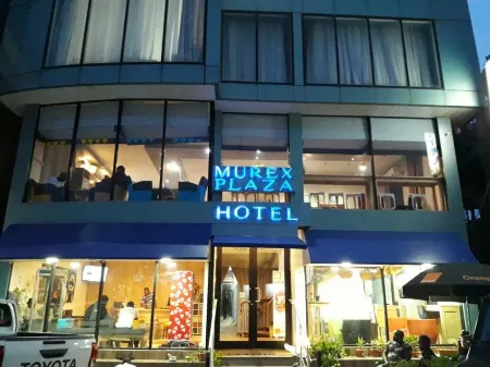 Murex Plaza Hotel & Suites Отели в г. Грэйтер Монровия