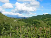 Landlord la Pieve Apartment