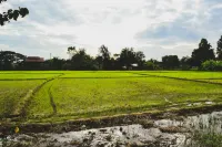 Bannkrithamed Chiangmai