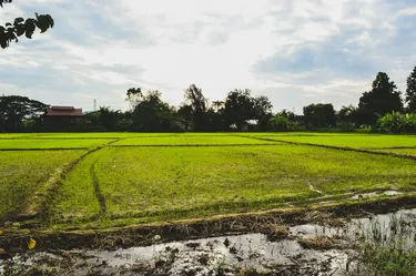 รูปภาพของบ้านกฤตเมธเชียงใหม่
