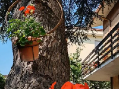 B&B Il Cedro Hotels in Foligno