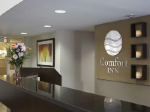 Comfort Inn Hotels in Swift Current