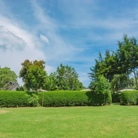 Sahara Gardens-Kericho