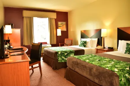 Sleep Inn Hotel Paseo Las Damas