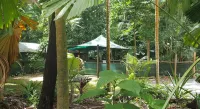 Daintree Crocodylus Hotels in Daintree