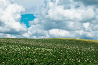 ホテル周辺 笑顔咲く宿 めぐみ雪の写真