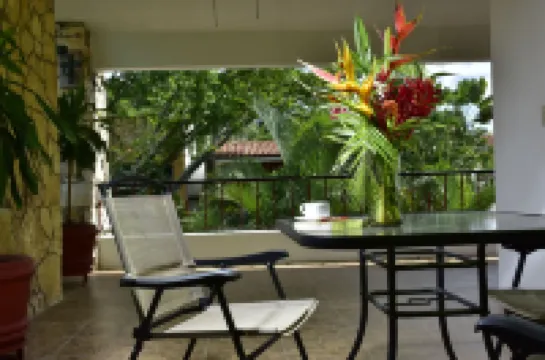 帕倫克廣場酒店