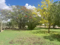 Jumbuck Motel Hotels in Longreach