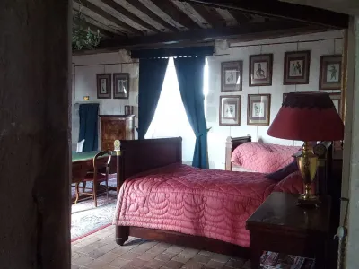 Chambres d'hôtes - Chateau de Chemery Hotels in Contres