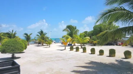 Hidden Treasure Vacation Home Blue Bay Cottage Отели рядом с достопримечательностью «Сплит»