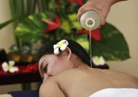 The Royal Surakarta Heritage - Handwritten Collection - spa
