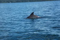 Residencia Natural Hôtels à : Bastimentos