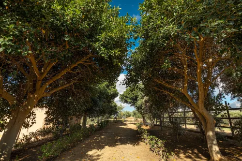 Le Casette di Calzata