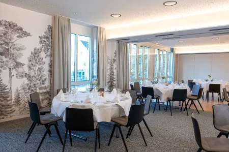 Erikson Hotel Отели в г. Зиндельфинген