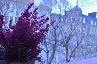 Hotell Zäta Longstay Hotels in Ostersund