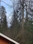 Bear Bottoms at Salmon Creek Hotels in Bear Creek