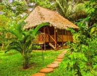 Pokakempi Tours Hotels near Amazon Shelter