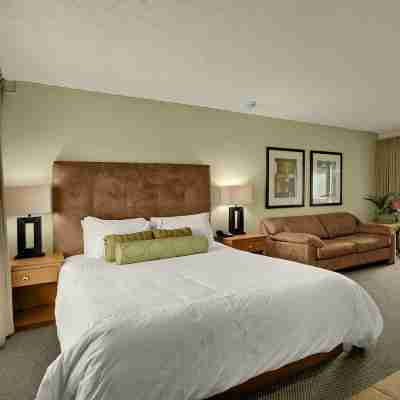 Surfer Beach Hotel Rooms