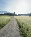 Waldchalet am Eichhof