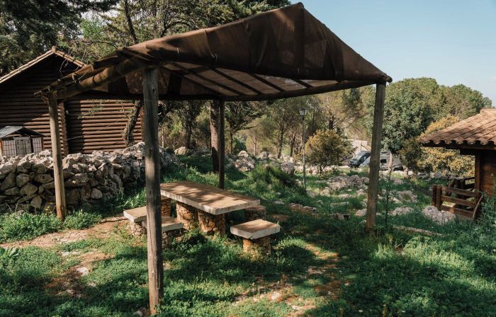 Camping TajoRodillo