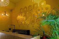 Casona Oaxaca Historia y Paz