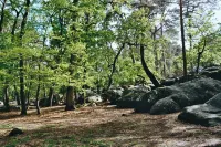 La Folie Barbizon