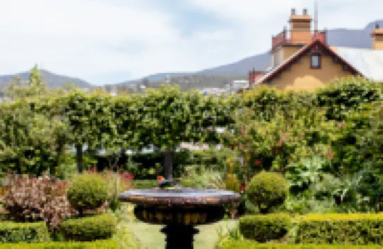 The Corinda Collection