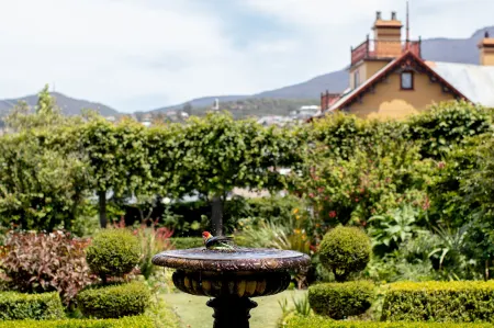 The Corinda Collection