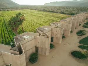 Paradero Todos Santos - Exclusive Experiences Included