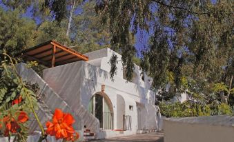 B&B Calamoresca - Housity