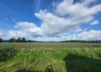 Cozy Holiday Home in Vrouwenpolder Close to the Beach