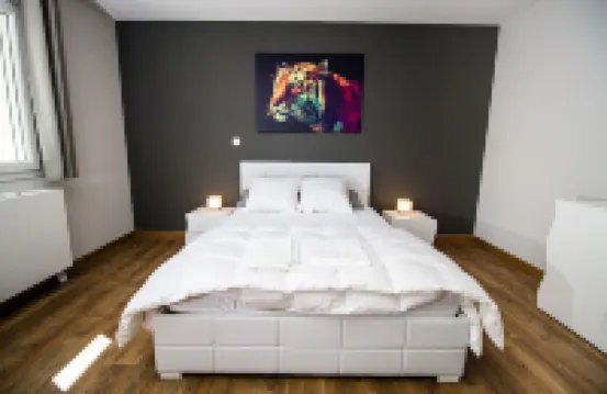 Very pretty Villa Evian / Neuvecelle