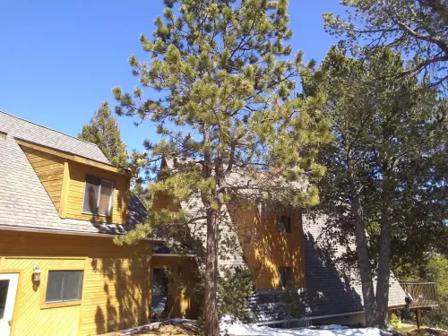 Mountain Chalet W/Pikes Peak View, 10 Bdrms.
