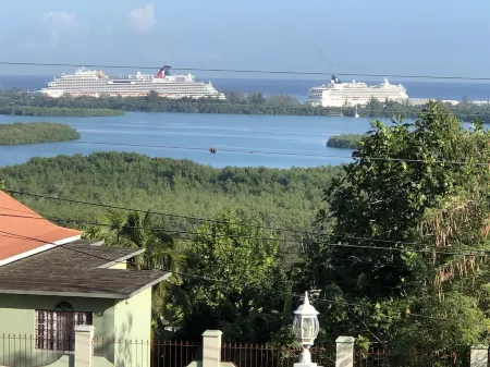 Hilltop singing bird villa