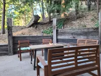 Romantic, Pet-Friendly Cabin. 5-min walk to Lake. 2 BBQ + 2 Decks + Fire Pit/EV