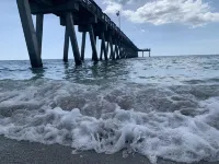 Gorgeous beach house on Venice Island, heated pool, min away from private beach!