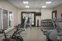新墨西哥州蓋洛普希爾頓花園飯店 - 健身房