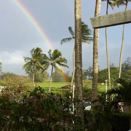 ALOHA - ALOHA AUTHENTIC CONDO- C29, Comfy & Welcoming.