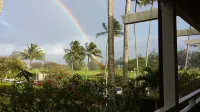 ALOHA -  ALOHA AUTHENTIC CONDO- C29, Comfy & Welcoming.