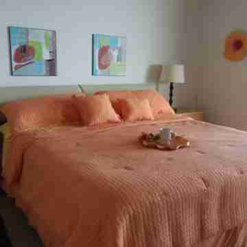 Luxury condo on the water, quiet and serene, near famous Clearwater Beach Rooms